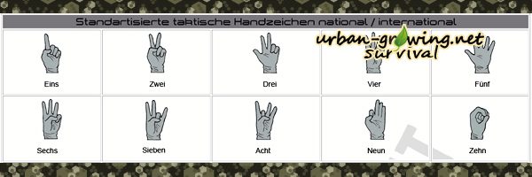 Internationale Taktische Handzeichen - www.urban-growing.net - Übersetzung Volker Truckenmüller